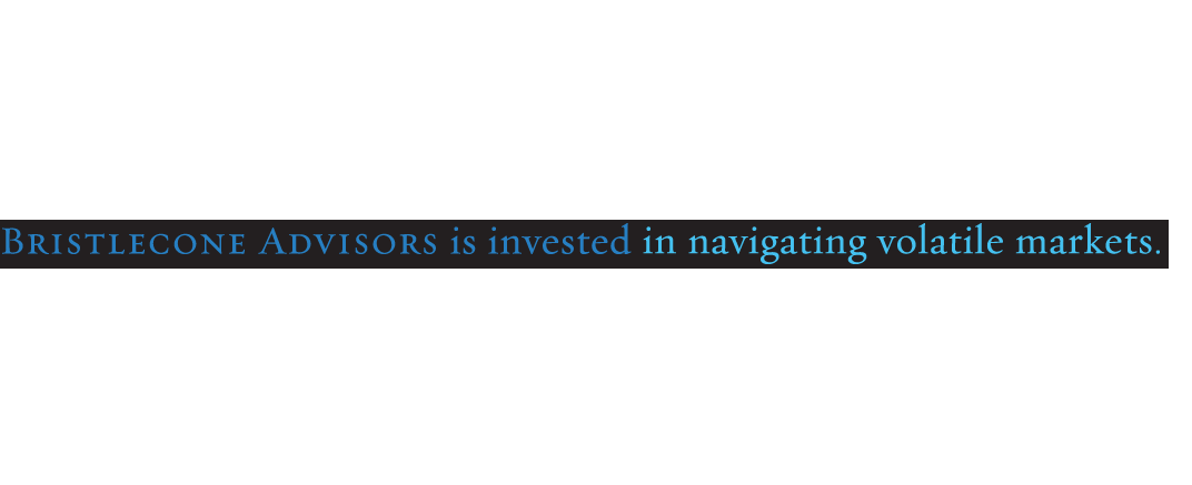 Bristlecone Advisors is invested in navigating volatile markets.